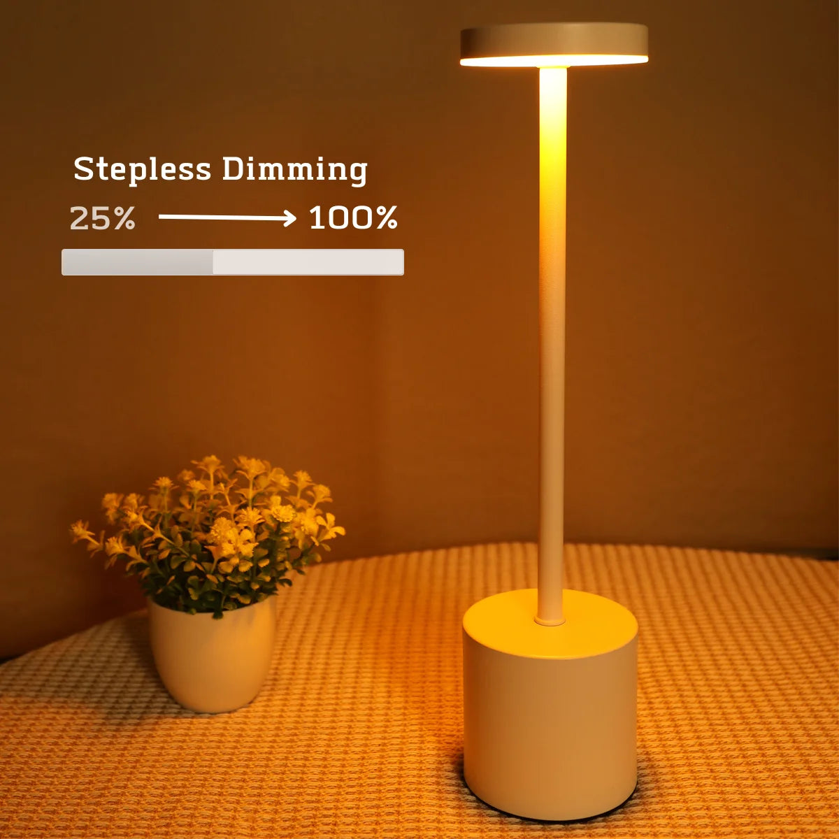 LED Rechargeable Touch Metal Table Lamp (Three Colors)